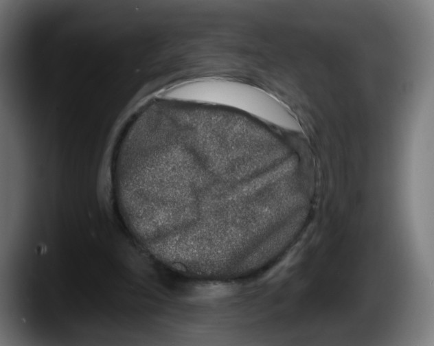 X0000087570198200705251827