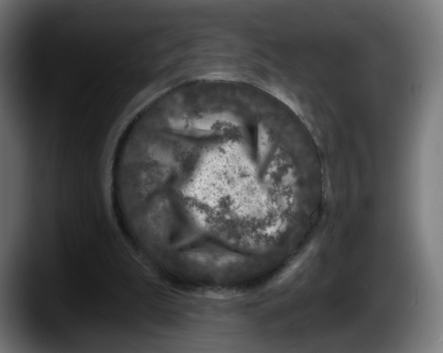 X0000087570199200705251827