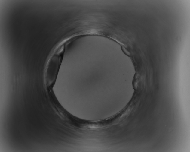 X0000087570200200705251827