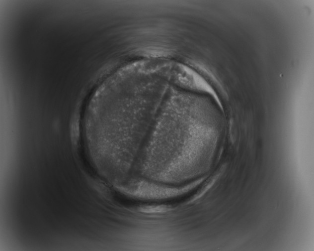 X0000087570202200705251827