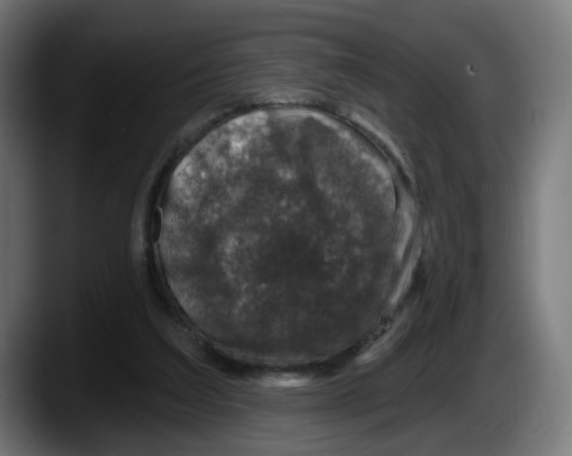 X0000087570203200705251827