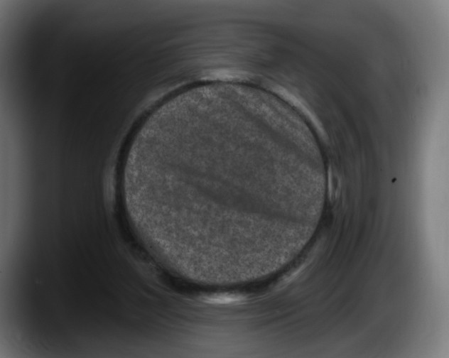 X0000087570204200705251827