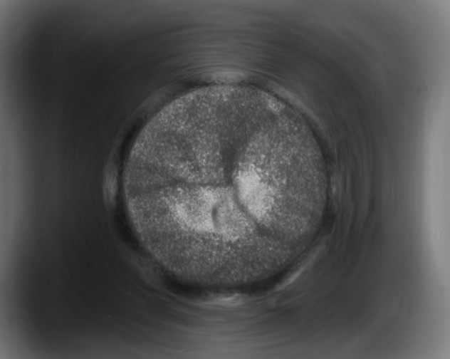 X0000087570206200705251827