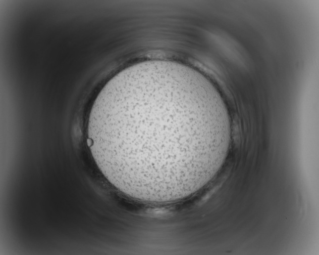 X0000087570208200705251827