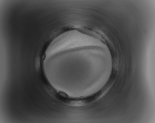 X0000087570213200705251827