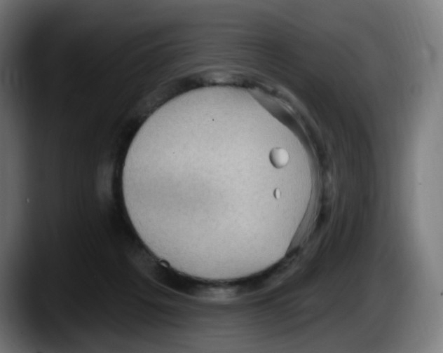 X0000087570217200705251827