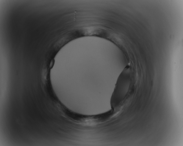 X0000087570219200705251827