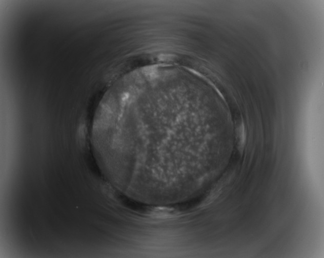 X0000087570222200705251827