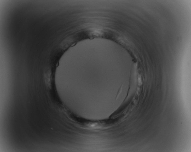 X0000087570223200705251827