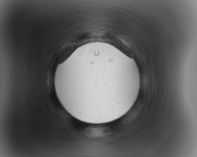 X0000087570228200705251827