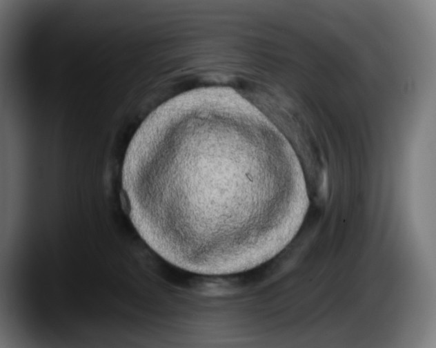 X0000087570229200705251827