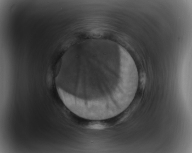 X0000087570231200705251827