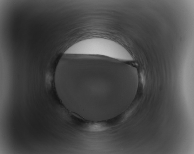 X0000087570235200705251827