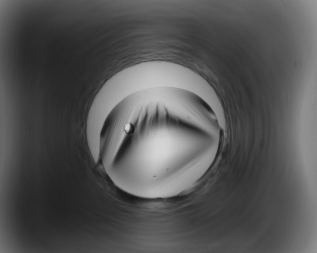 X0000087570237200705251827