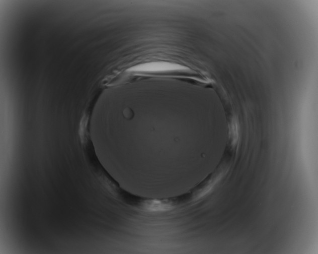 X0000087570239200705251827