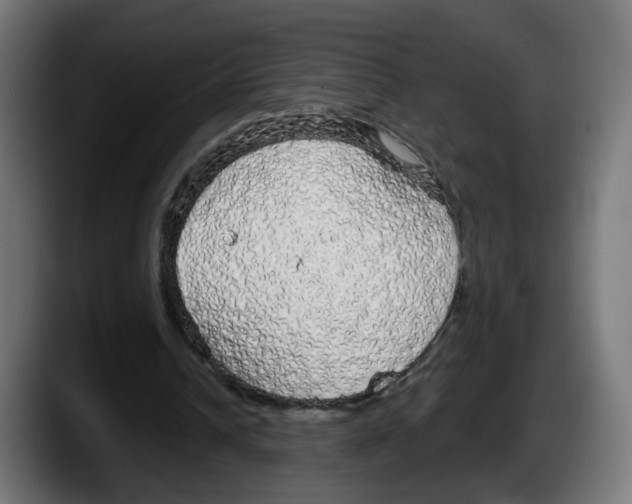 X0000087570242200705251826