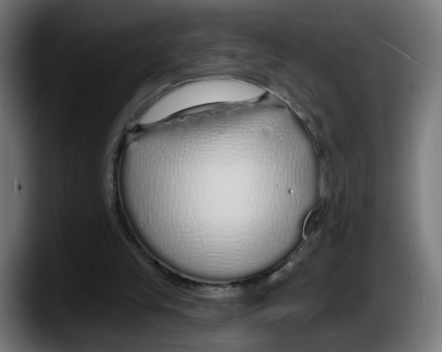 X0000087570245200705251826