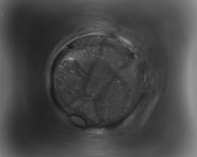 X0000087570247200705251826