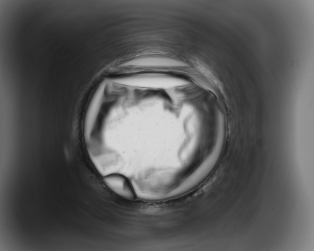 X0000087570249200705251826