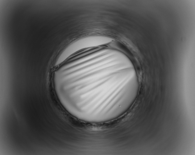 X0000087570250200705251826