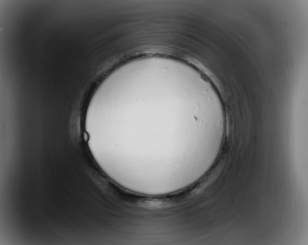 X0000087570253200705251826