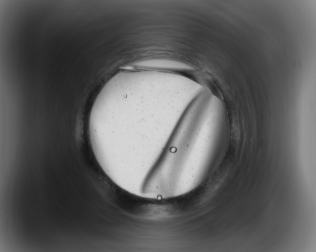 X0000087570255200705251826