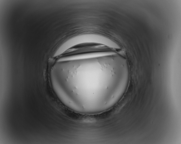 X0000087570258200705251826