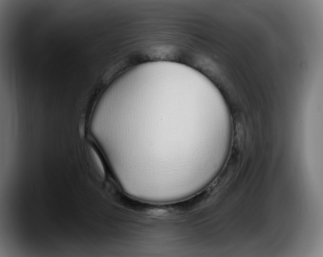 X0000087570259200705251826