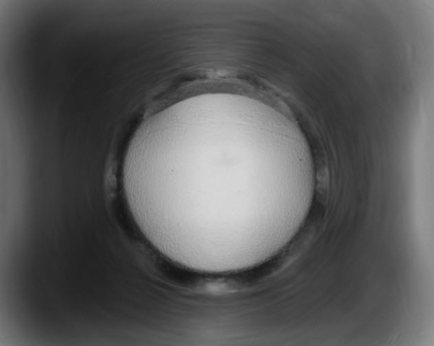 X0000087570264200705251826