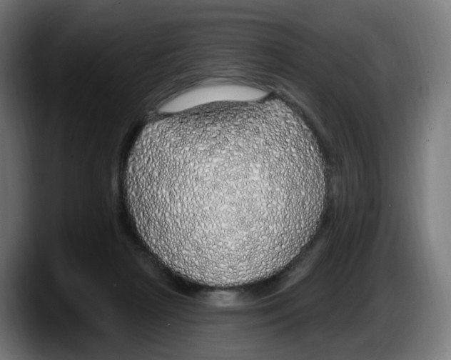 X0000087570265200705251826