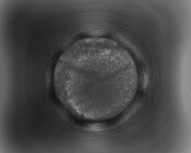 X0000087570268200705251826