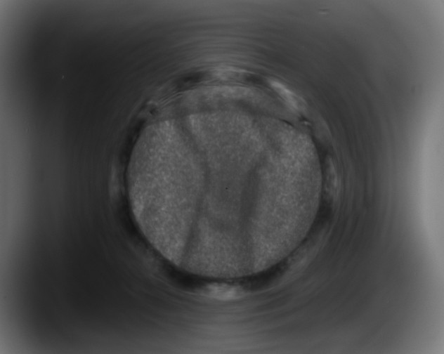 X0000087570272200705251826