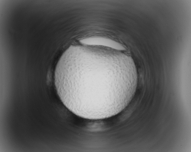 X0000087570274200705251826