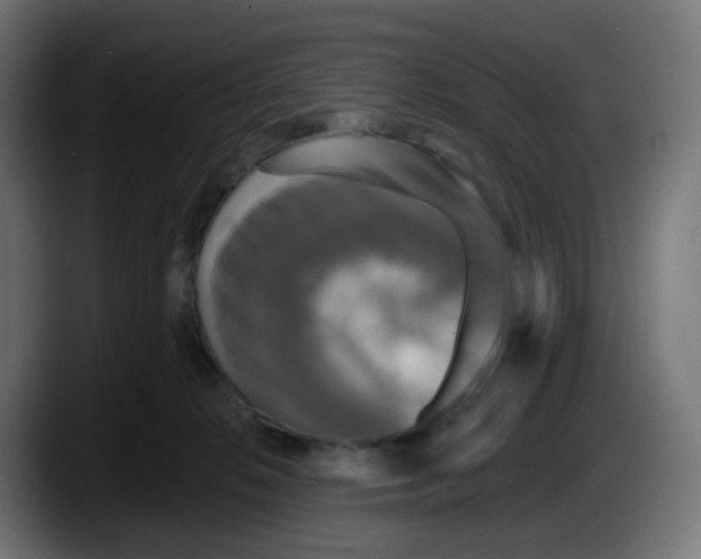 X0000087570276200705251826