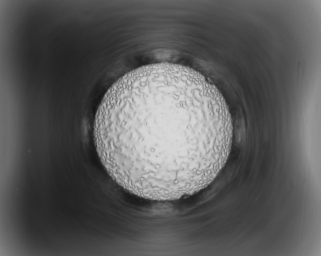 X0000087570279200705251826