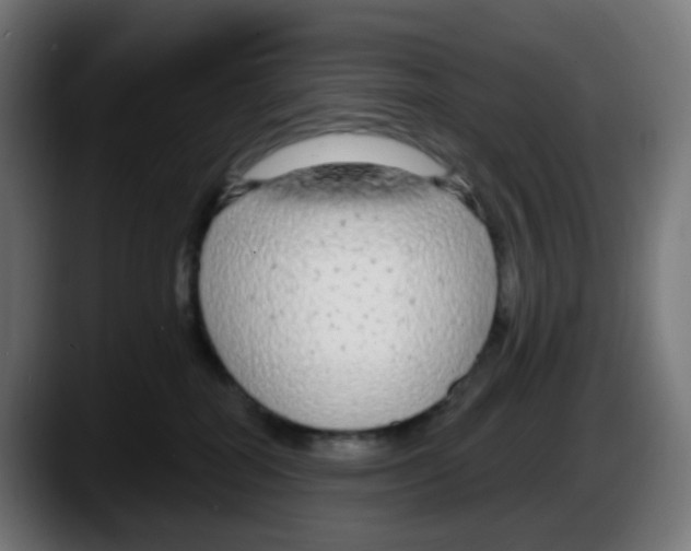 X0000087570282200705251826