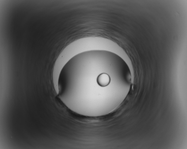 X0000087570284200705251827