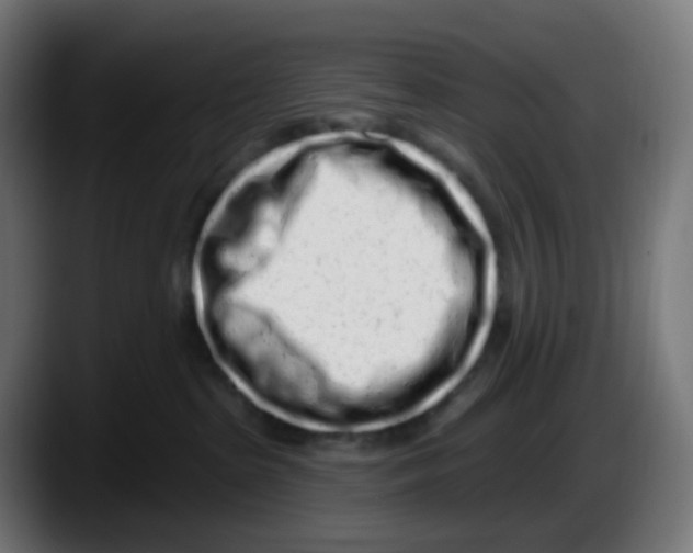 X0000087570285200705251827