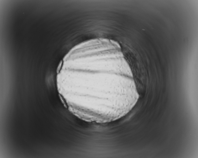 X0000087570286200705251827