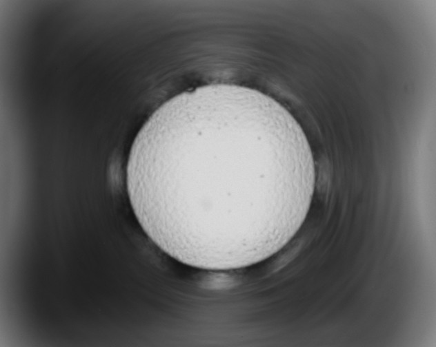 X0000087570287200705251827