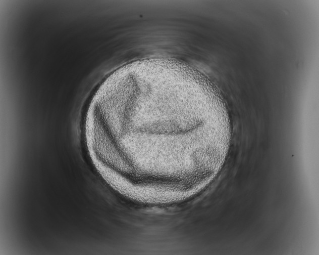 X0000087570290200705251826