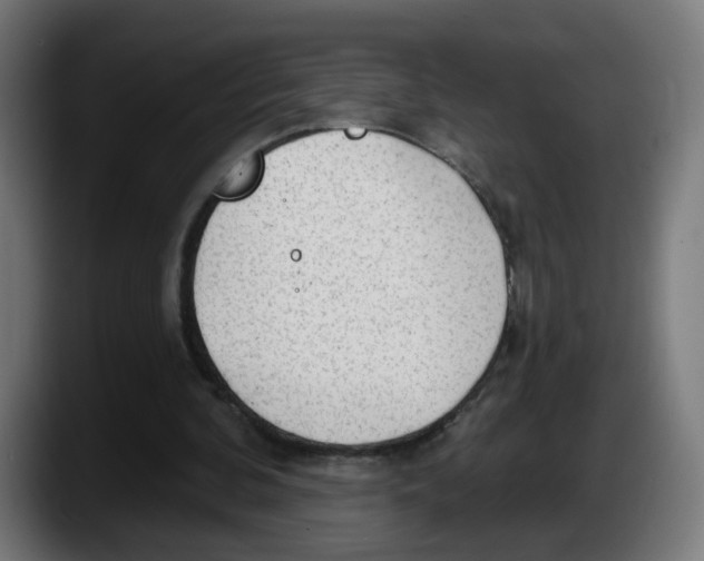 X0000087570292200705251826