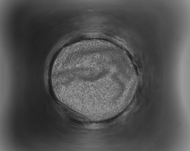 X0000087570293200705251826