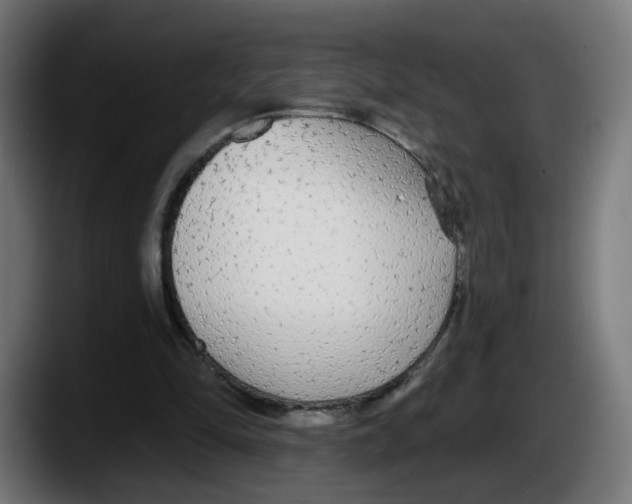 X0000087570294200705251826