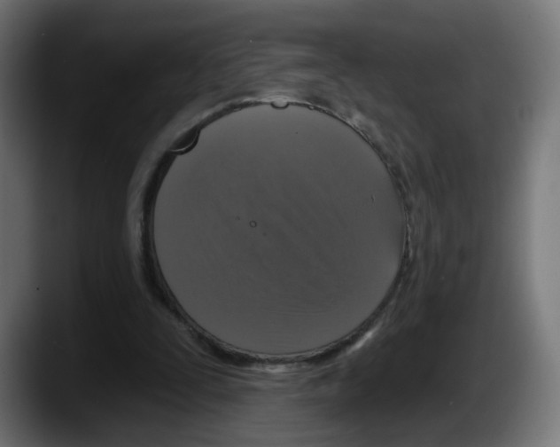 X0000087570295200705251826