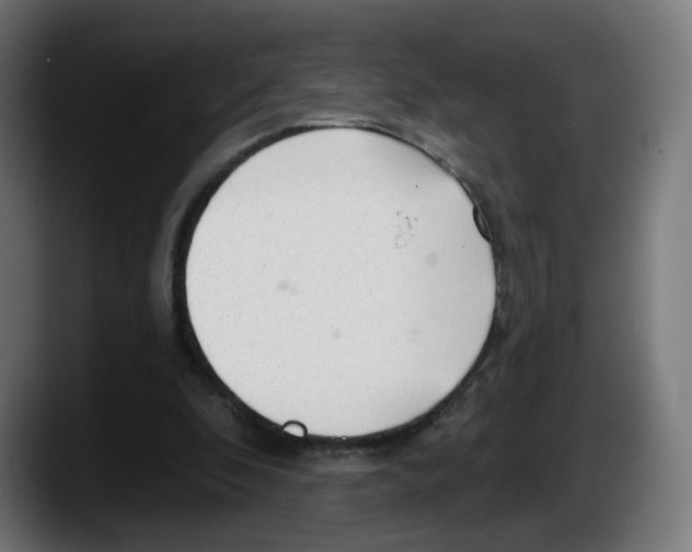 X0000087570296200705251826