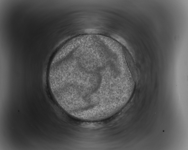 X0000087570297200705251826