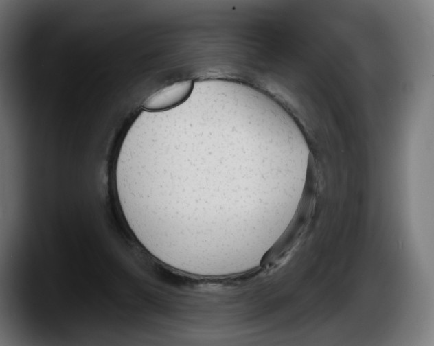 X0000087570298200705251826