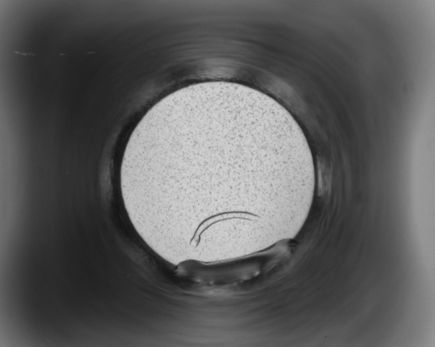 X0000087570300200705251826