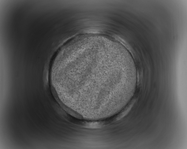 X0000087570301200705251826